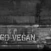 Floating capsules from the collection of vegan vitamins and supplements showcasing their natural design and quality