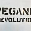 Floating capsules from the collection of vegan vitamins and supplements showcasing their natural design and quality