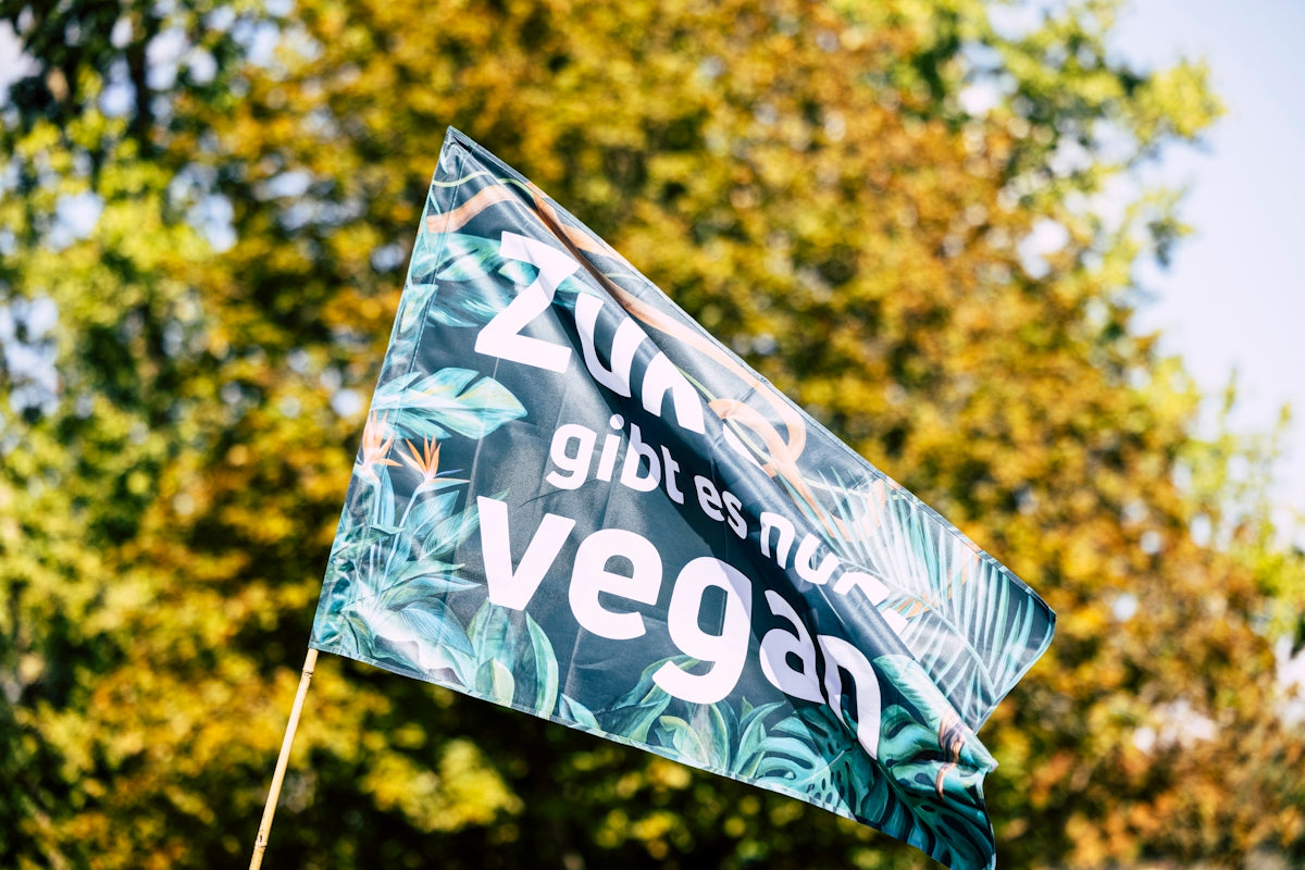 Floating capsules from the collection of vegan vitamins and supplements showcasing their natural design and quality