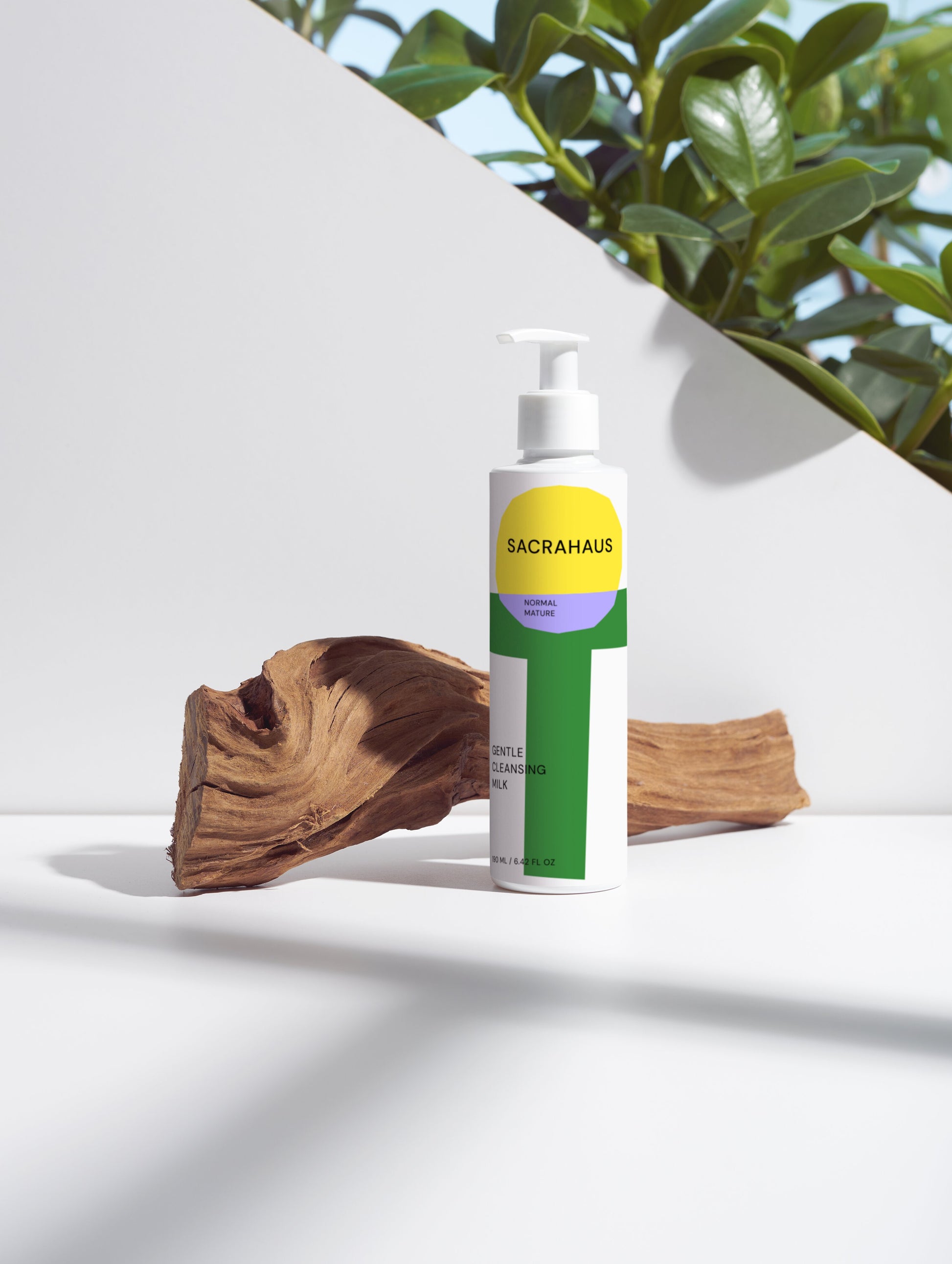Gentle Cleansing Milk