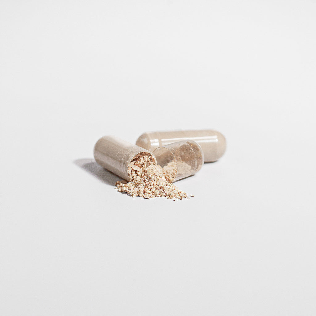 SACRAHAUS chaga mushroom supplement capsules with powdered contents spilling out