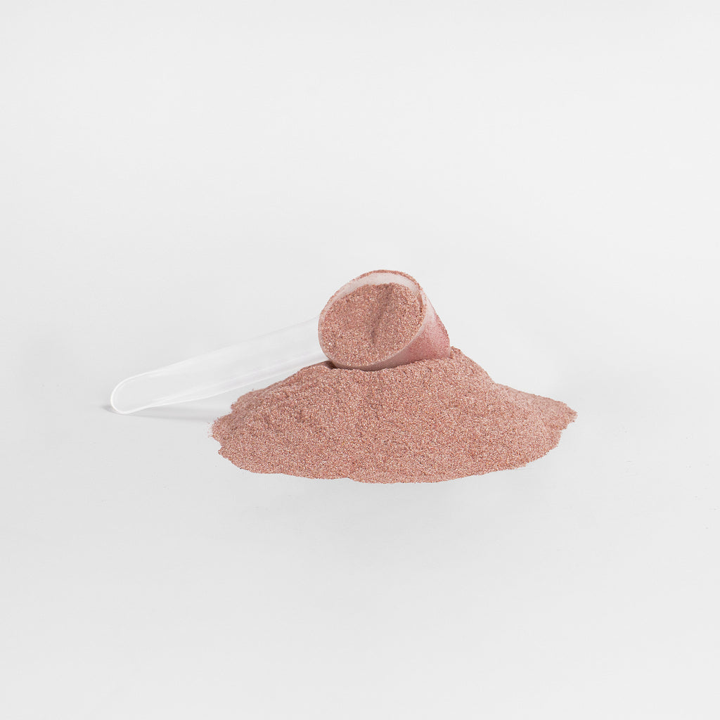 SACRAHAUS red superfood powder vegan in a scoop with loose powder on a white background