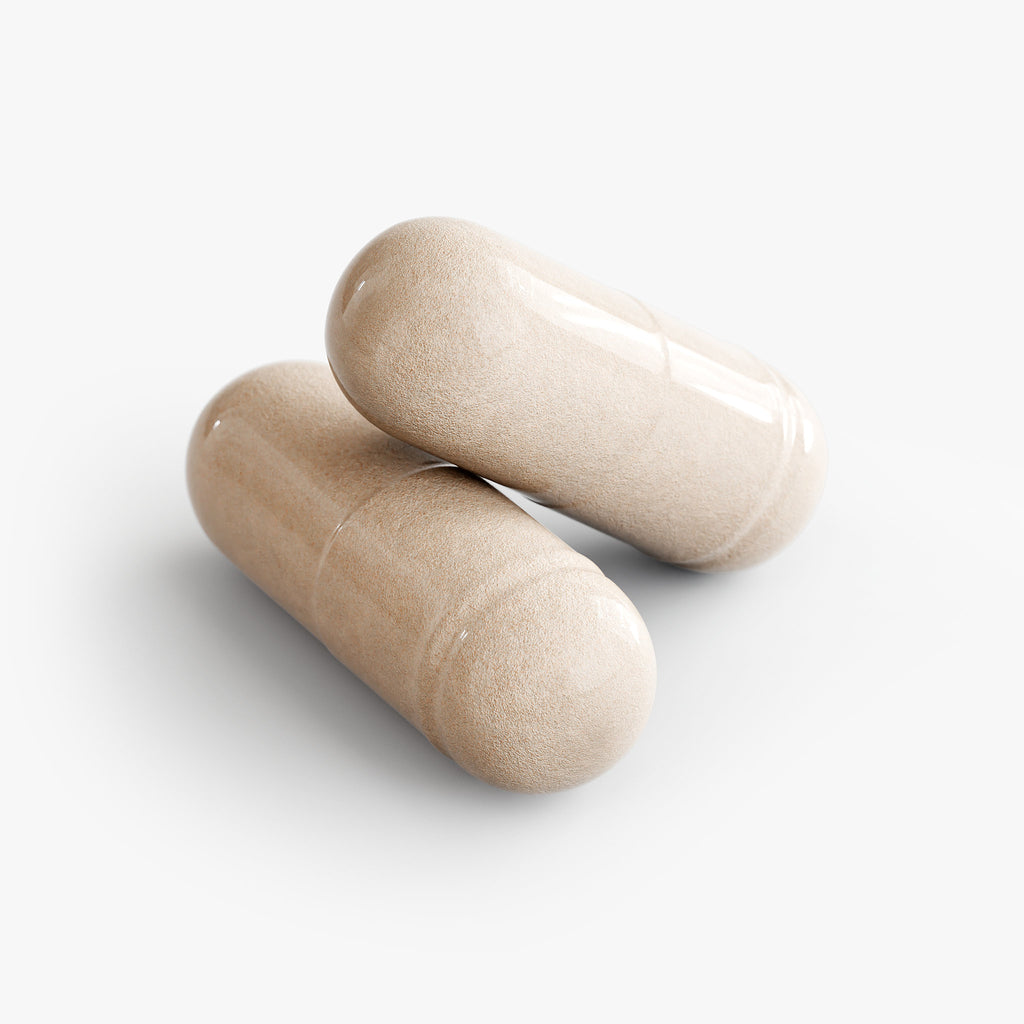 SACRAHAUS wild sea moss capsules in a natural beige color for health and wellness